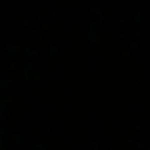 Meet your Posher, Laurie